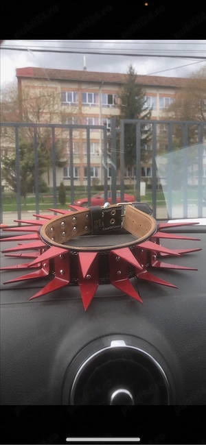 zgarda cu colti din fier pentru caini  - imagine 2