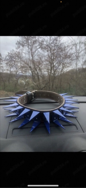 zgarda cu colti din fier pentru caini 