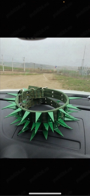 zgarda cu colti din fier pentru caini  - imagine 4