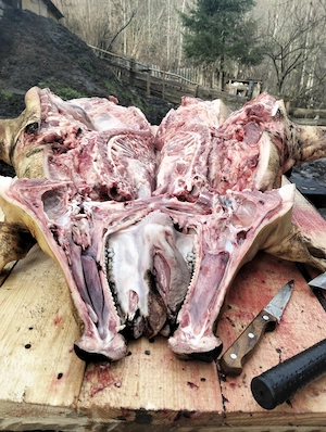 Porci făcuți Carcasă CRESCUȚI BIO 