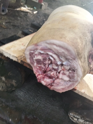 Porci făcuți Carcasă CRESCUȚI BIO  - imagine 2