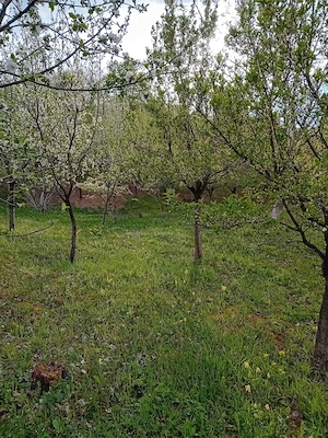 Vând teren extravilan - imagine 2