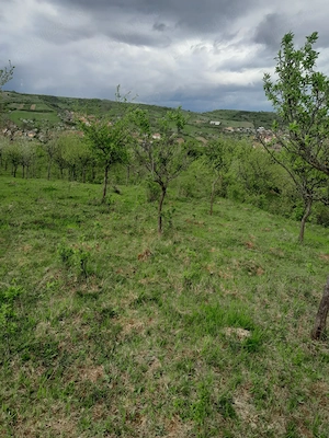 Vând teren extravilan - imagine 9