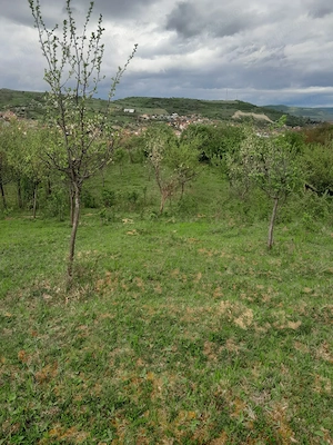 Vând teren extravilan - imagine 8