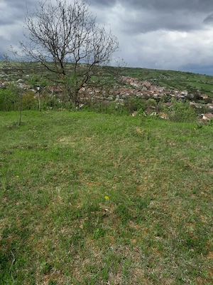 Vând teren extravilan - imagine 7