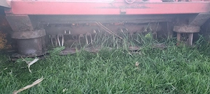 vând cositoare  - imagine 2