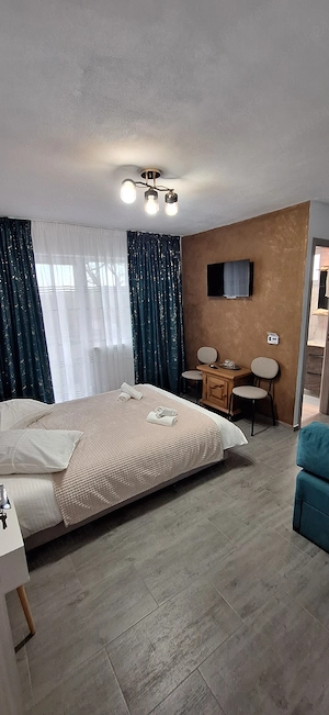 Cazare Curtea de Argeș- Vila Armonia - imagine 5