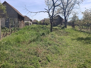 Casă din cărămidă ,izolată în Uilecul de Criș preț negociabil! - imagine 4