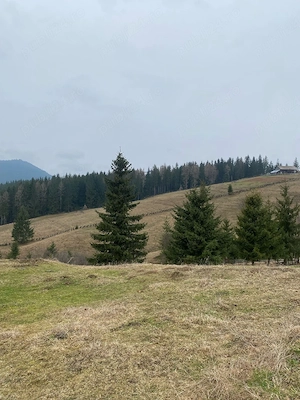 Teren pentru camping   rulote   Piatra Fântânele