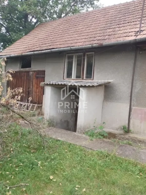 Casă individuală renovabilă | 2 camere | 1032 mp teren | La 13 km de Alba Iulia