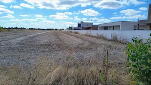 Teren Caciulati de vanzare  - imagine 4