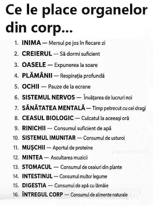 vanzari casa container 20 mp la 5600 Euro București  - imagine 4