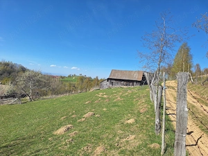 Teren de vânzare- 3 hectare jud. Sibiu, comuna Jina - imagine 2