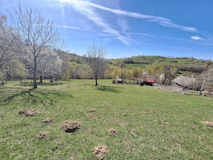 Teren de vânzare- 3 hectare jud. Sibiu, comuna Jina - imagine 3