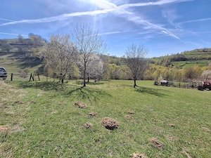 Teren de vânzare- 3 hectare jud. Sibiu, comuna Jina - imagine 4