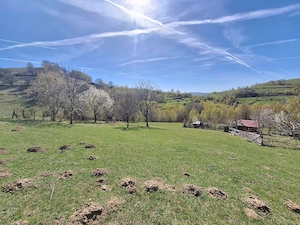 Teren de vânzare- 3 hectare jud. Sibiu, comuna Jina - imagine 5