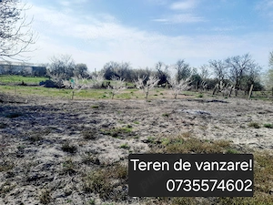 Teren Intravilan 1020 mp Becicherecu Mic  - imagine 3