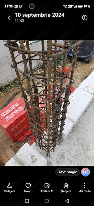 Proprietar Casa Simnicu de sus Albesti - imagine 5