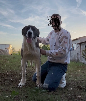 femela 6 luni - imagine 2