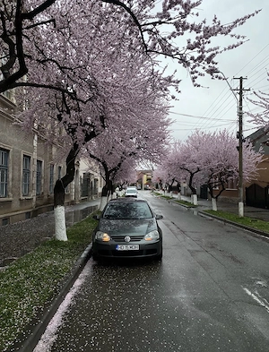 Vand golf 5  - imagine 5