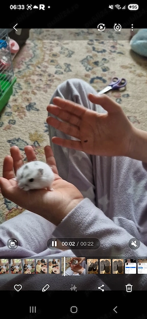 Donez hamsteri de 1 luna - imagine 2