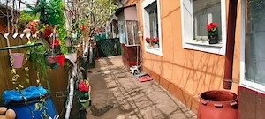 Casa +teren 266 mp București Viilor 