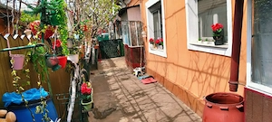 Casa +teren 266 mp București Viilor  - imagine 3