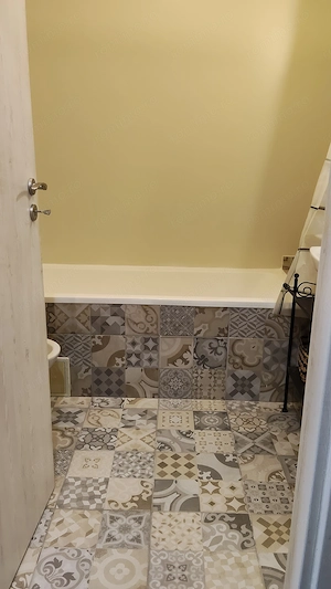 Ap o camera Ared 300 Malul Muresului - imagine 7