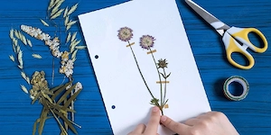 ierbar,simplu sau profesional  - imagine 3