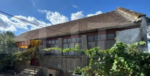 Casă veche cu teren generos în vatra veche Șag