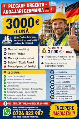    Muncitori necalificați    Ingineri   Maiștri    Macaragii (avantaje speciale)    Dulgheri   Zidar