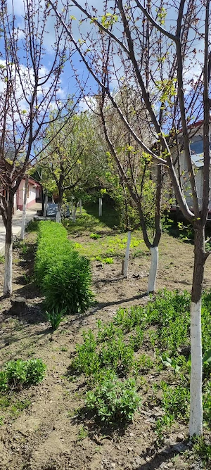 Casă de vânzare în Costache Negri - imagine 2