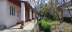 Casă de vânzare în Costache Negri