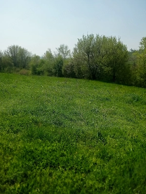 Teren intravilan Loc pentru Casă 