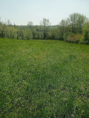 Teren intravilan Loc pentru Casă  - imagine 6