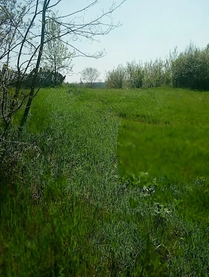 Teren intravilan Loc pentru Casă  - imagine 5