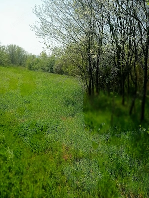 Teren intravilan Loc pentru Casă  - imagine 2