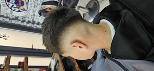 Angajam frizer in Targoviste,zona micro6