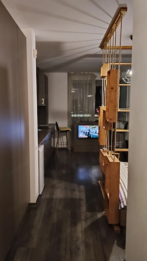 Ap o camera Ared 300 Malul Muresului - imagine 3