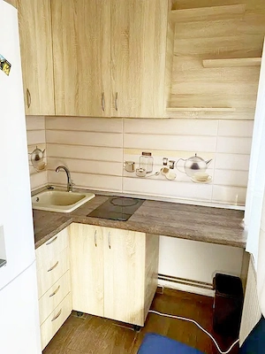 Buziasului - garsoniera - imagine 9