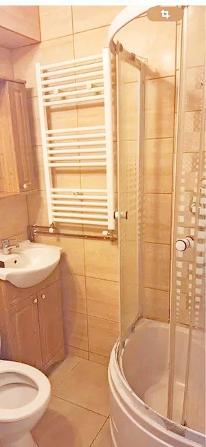 Buziasului - garsoniera - imagine 11