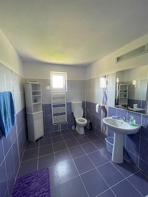 Casa de vanzare - Lilieci, Ialomita - imagine 10