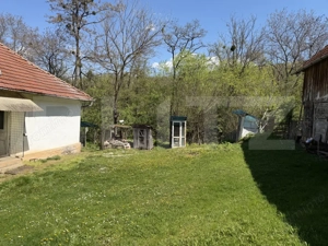 Casă cu 3 camere și un teren de 5000 mp - imagine 5