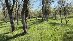 Casă cu 3 camere și un teren de 5000 mp - imagine 9