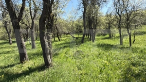 Casă cu 3 camere și un teren de 5000 mp - imagine 10