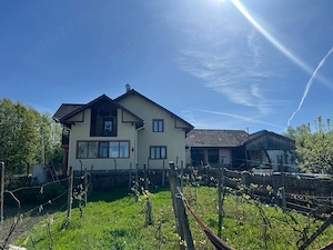 Proprietate completă: casă + teren 9.000 mp   Cârligei,Gorj - imagine 2
