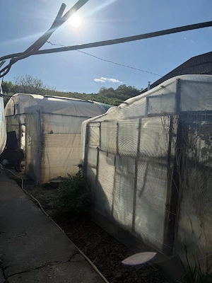 Casa si teren  POTMELȚU  ( CRAIOVA )1200 MP , la strada - imagine 4