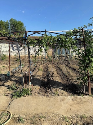 Casa si teren  POTMELȚU  ( CRAIOVA )1200 MP , la strada - imagine 7