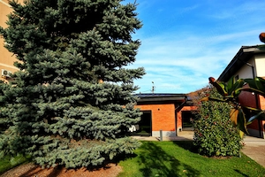 Vila eleganta P+E Bucium