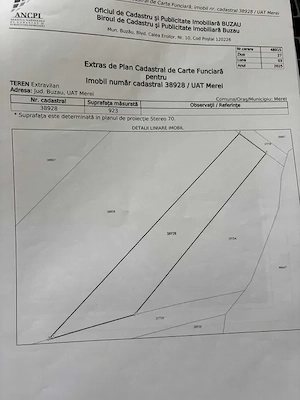 Vie Riesling de vanzare, Comuna Merei, Judetul Buzau